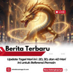 Update Togel Hari ini : 2D, 3D, dan 4D Hari Ini untuk Referensi Pemain